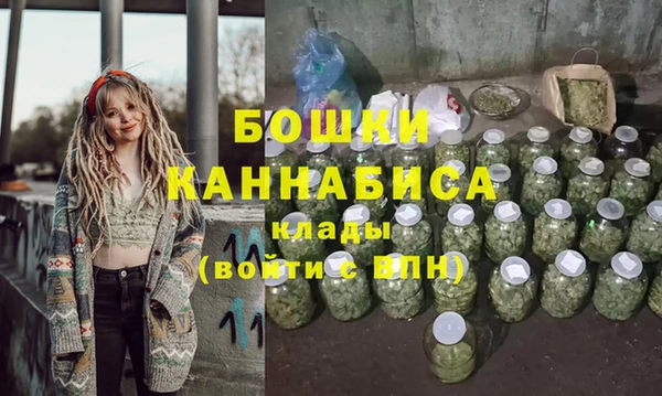 мдпв Пересвет