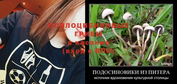 кокаин Богданович